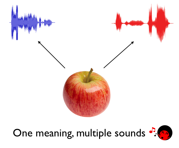 2- one meaning multiple sounds