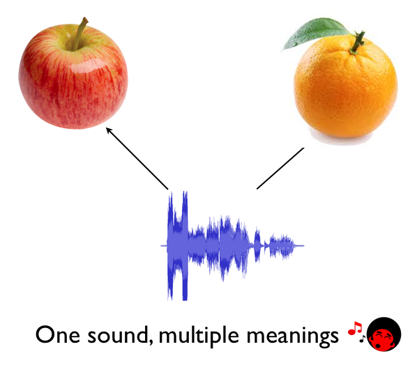 3- one sound multiple meanings