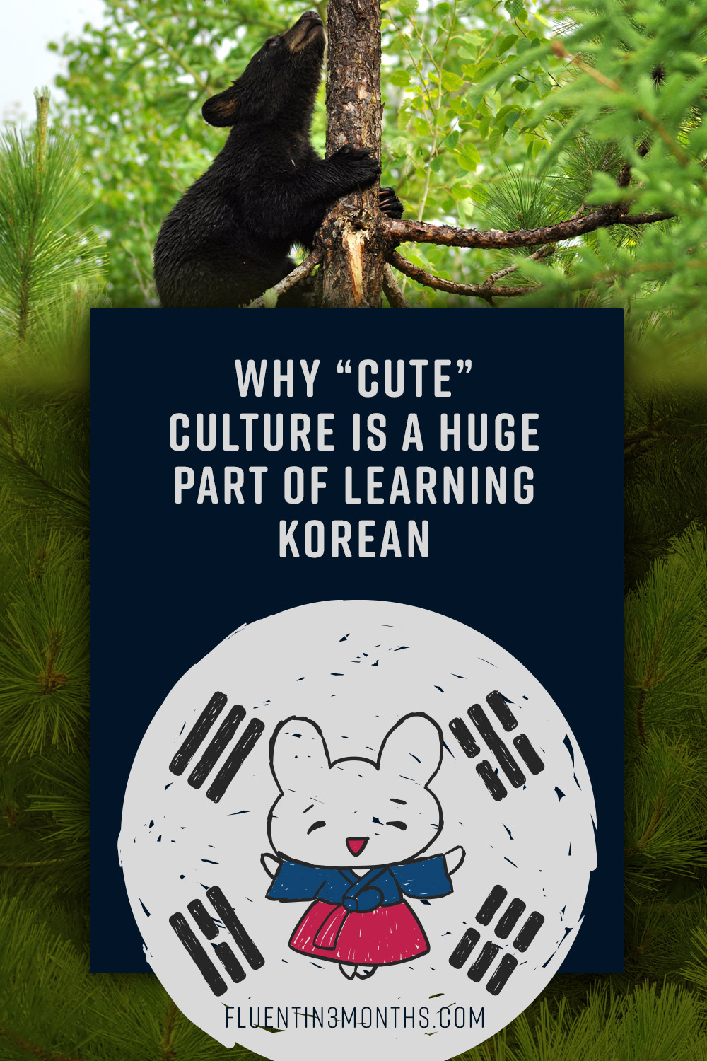 Cute Korean things, I love this Korean things, yesterday so…