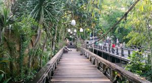 A Month Living in Ubud, Bali, Indonesia [Travel Update]