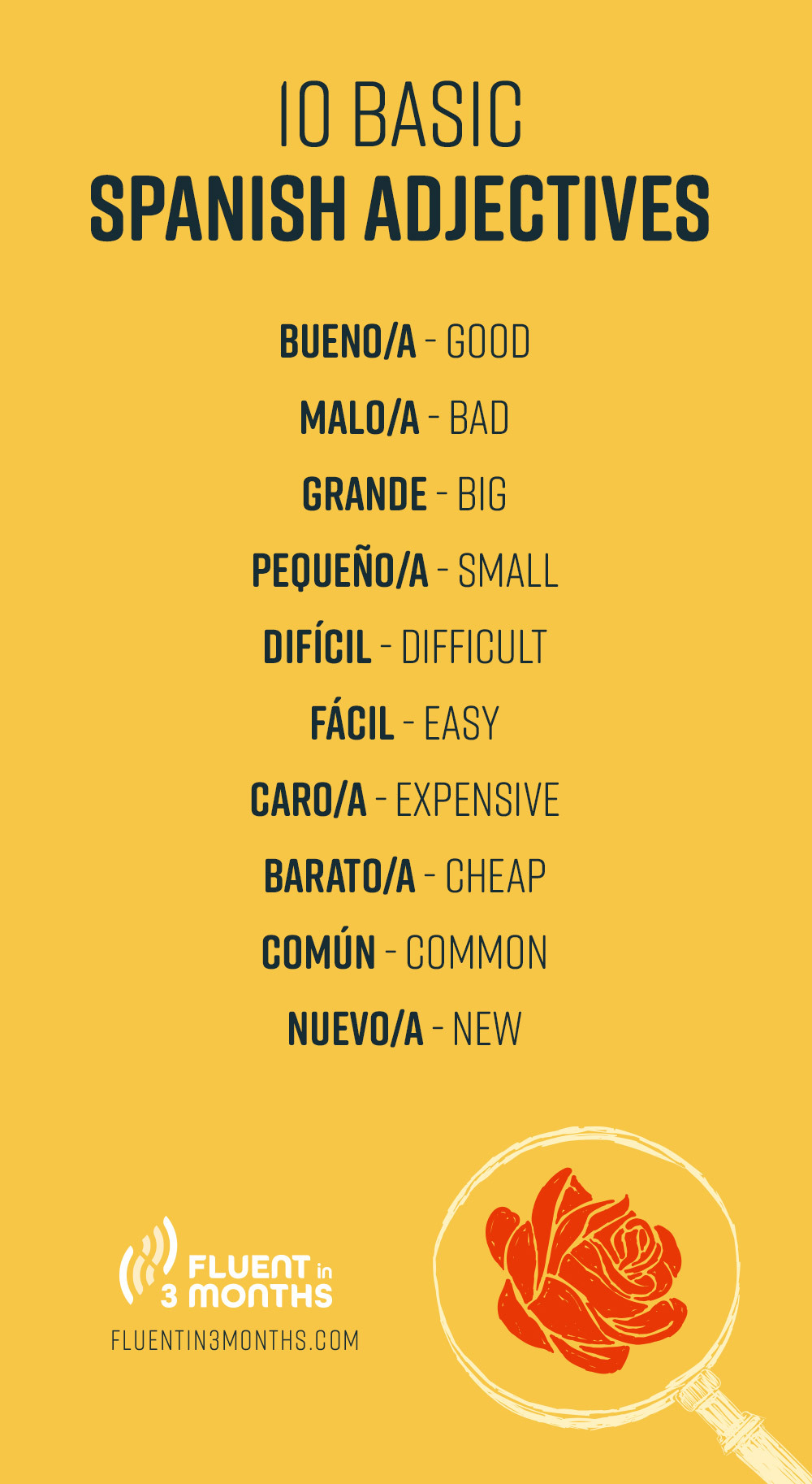 Spanish 1 Adjectives List
