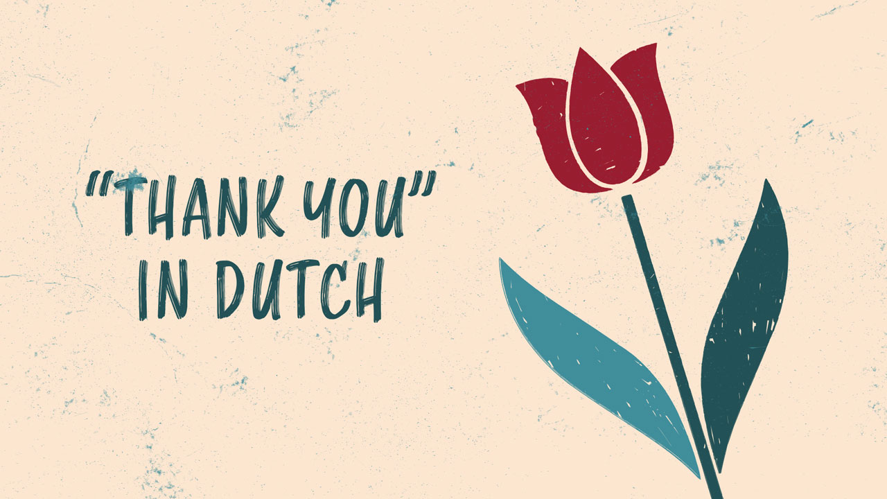 14 Ways To Say “Thank You” in Dutch (+ 2 Ways to Reply)