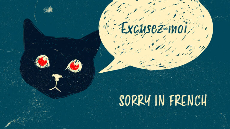 How to Say Sorry in French [with Audio]