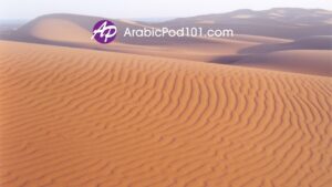 ArabicPod101 logo over the Sahara sand dunes at Erg Chebbi in Morocco