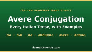 avere conjugation card