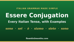 essere conjugation card