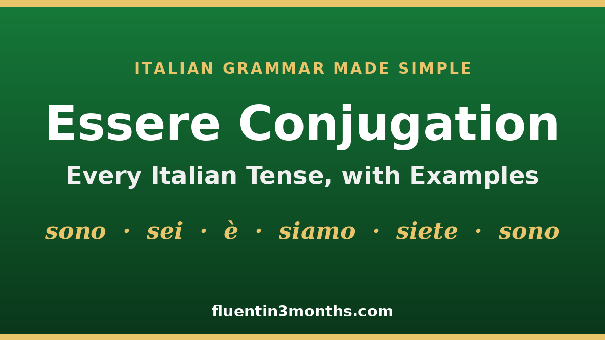 essere conjugation card