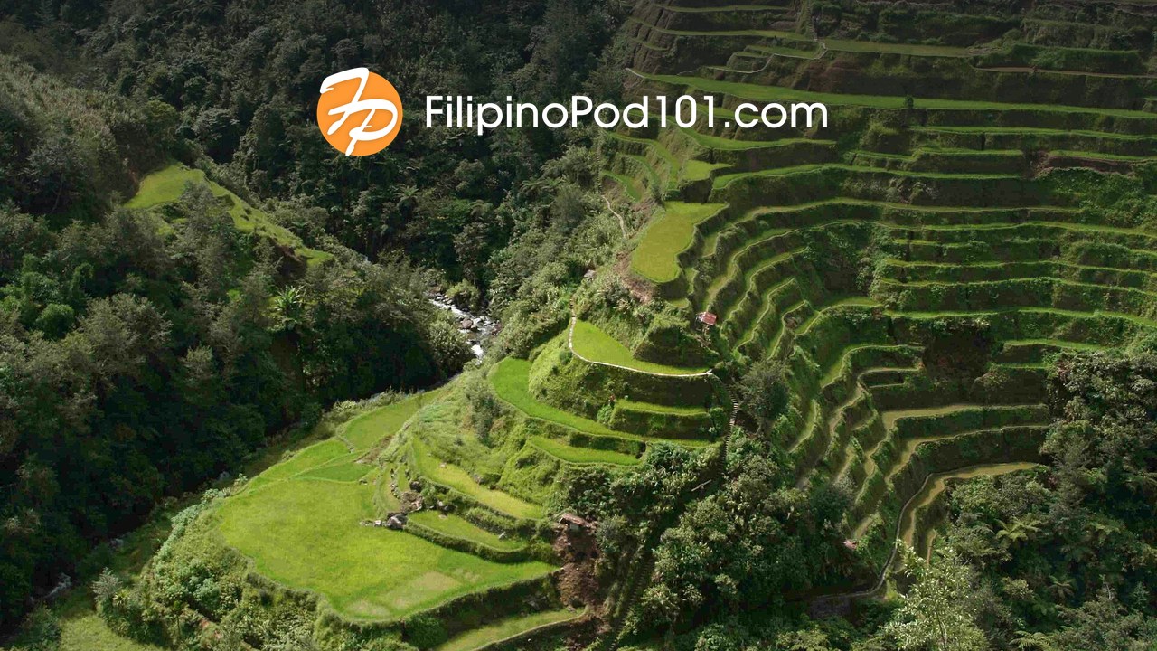 FilipinoPod101 logo over the Banaue rice terraces in the Philippines