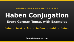 haben conjugation card