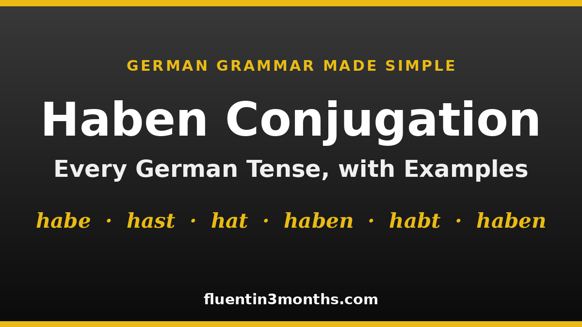 haben conjugation card