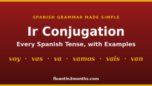 ir conjugation card