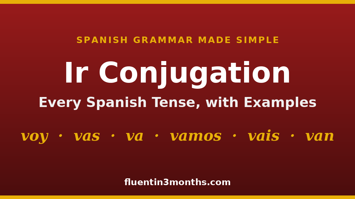ir conjugation card