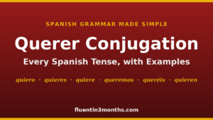 querer conjugation card