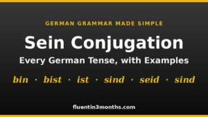 sein conjugation card