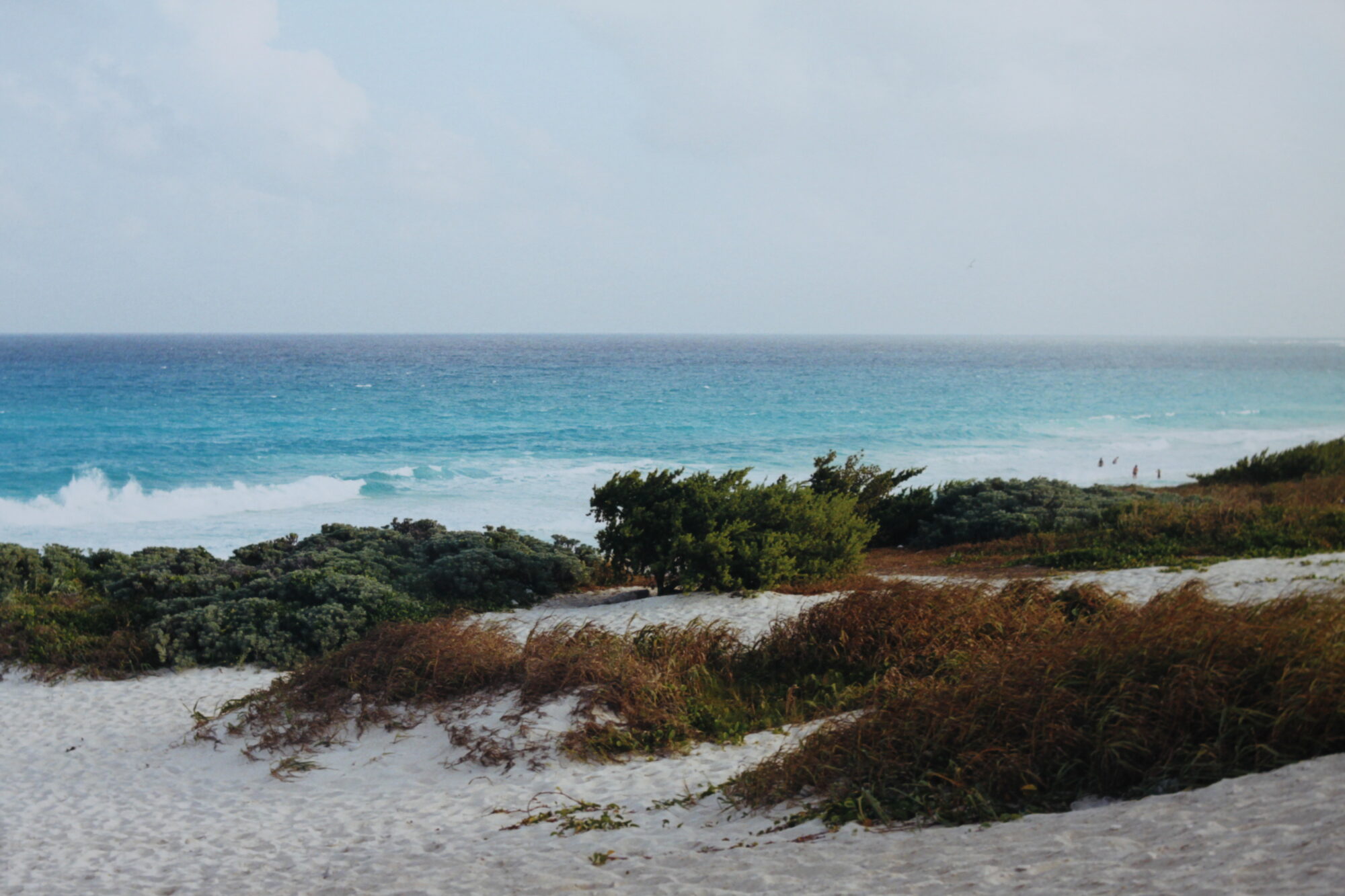 Turquoise sea beyond sand dunes on a beach in Cancún