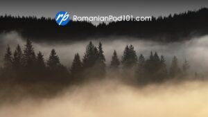 RomanianPod101 logo over misty forest near Holbav, Romania