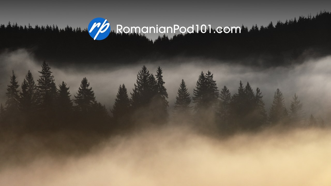 RomanianPod101 logo over misty forest near Holbav, Romania